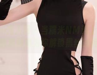 Xiuren秀人网 – 当糯米NM遇上兔女郎：精选图集为你解锁黑丝的魅力
