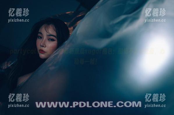 partycat轰趴猫-杨晨晨sugar partycat轰趴猫 - 全新杨晨晨sugar图包:剧情不止在纸面,心动每一帧!