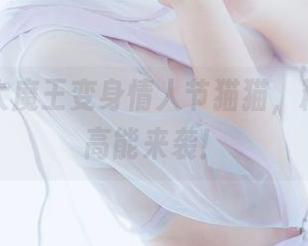 当甜糖大魔王变身情人节猫猫，精选套图高能来袭！